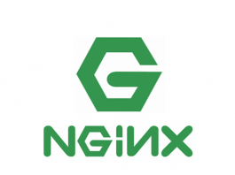 nginx-logo2