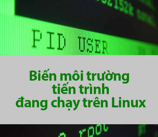 biến môi trường tiến trình đang chạy linux