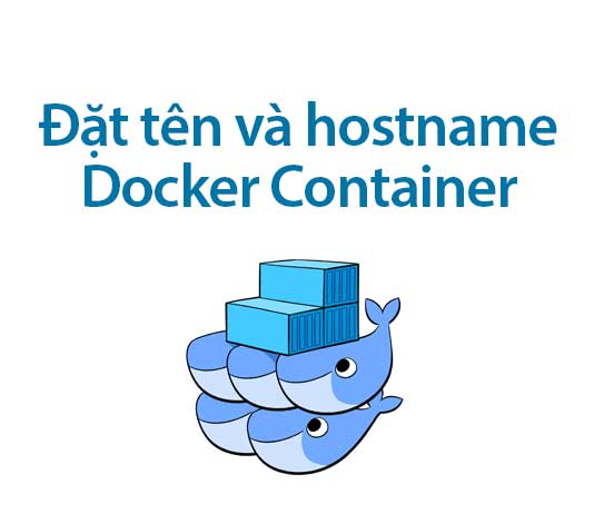 đặt tên và hostname cho docker container
