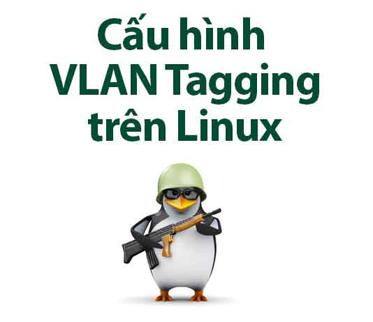 cấu hình vlan tagging trên linux