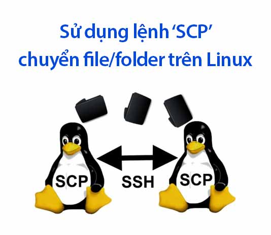 sử dụng lệnh SCP chuyển file trên linux