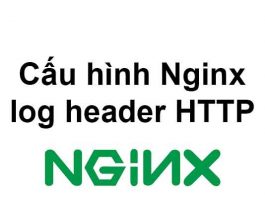 cau-hinh-nginx-log-header-http