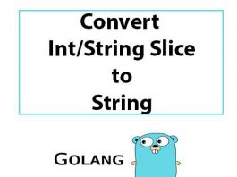 convert-int-string-slice-to-string